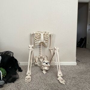 Halloween Skeleton Prop - Standing Torso and Limbs in Bone White